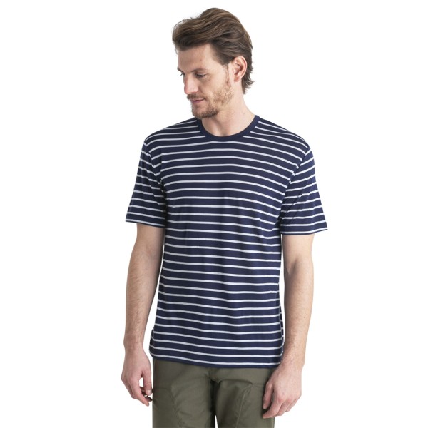 Merino Drayden SS Tee Stripe